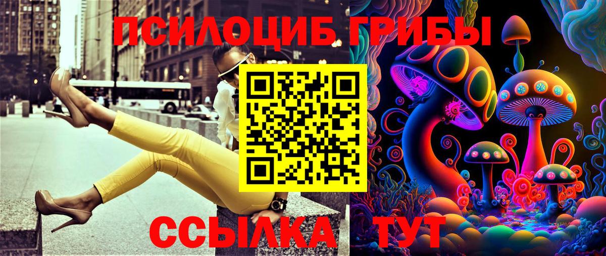 Галлюциногенные грибы Psilocybine cubensis  Псилоцибиновые грибы Cubensis  Вход с VPN  Егорьевск 